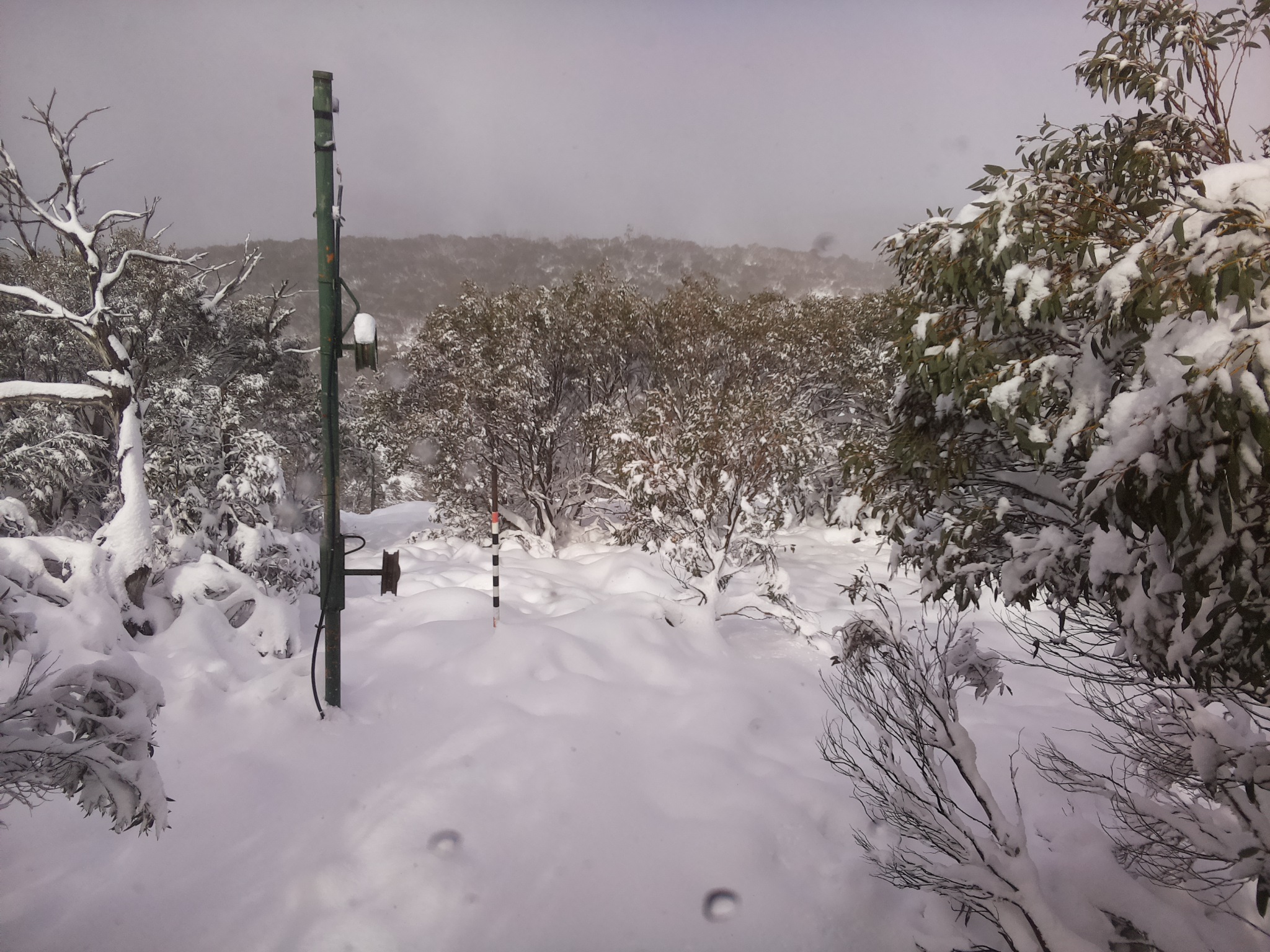 Bogong Web Cam 12:30pm Sunday 8th of June 2025