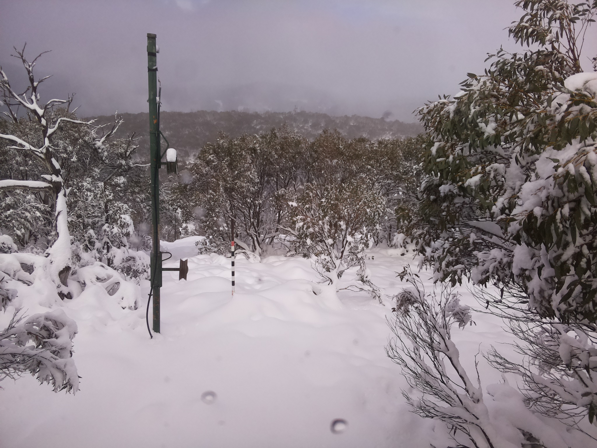 Bogong Web Cam 12:40pm Sunday 8th of June 2025