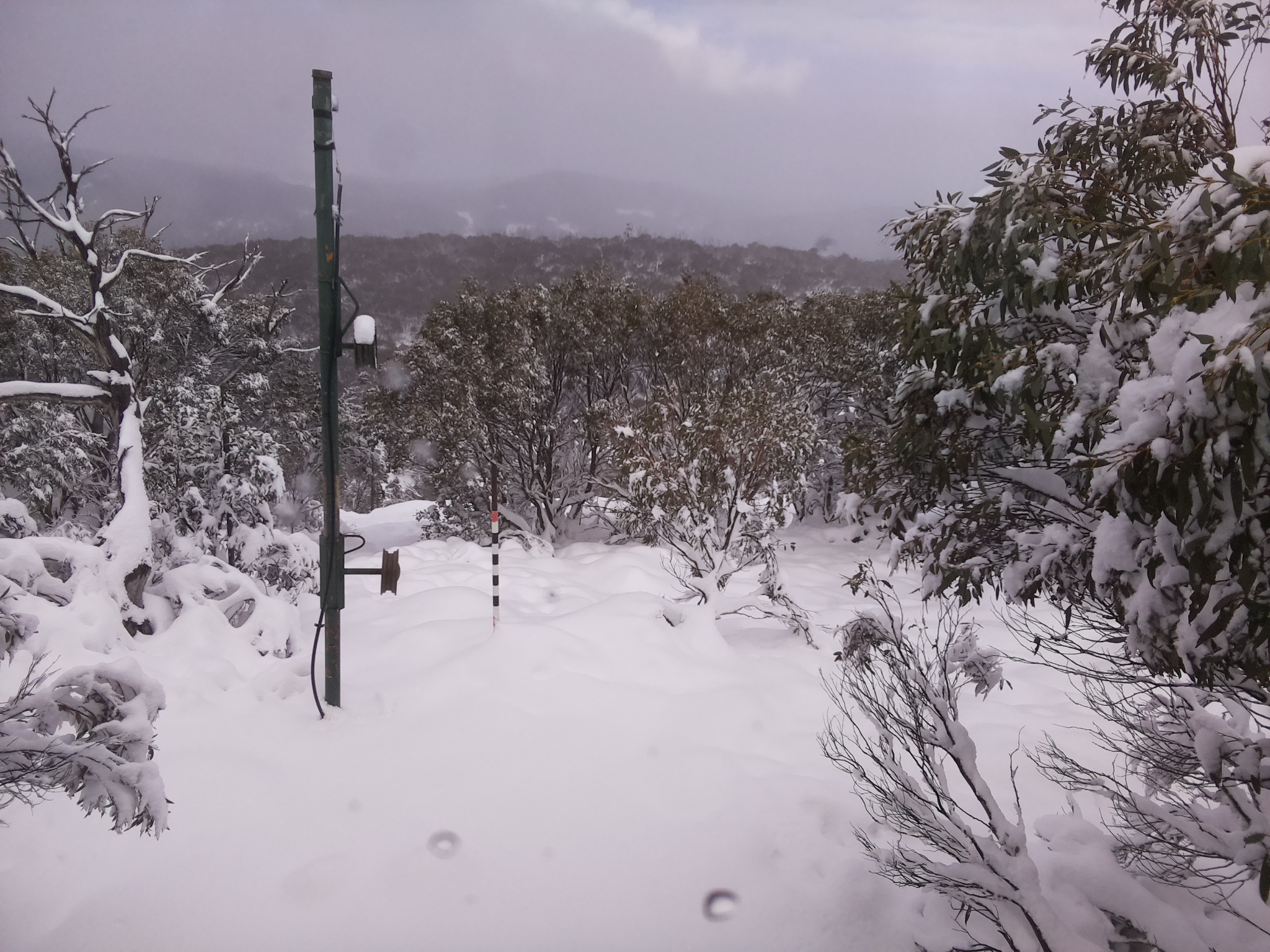 Bogong Web Cam 12:50pm Sunday 8th of June 2025