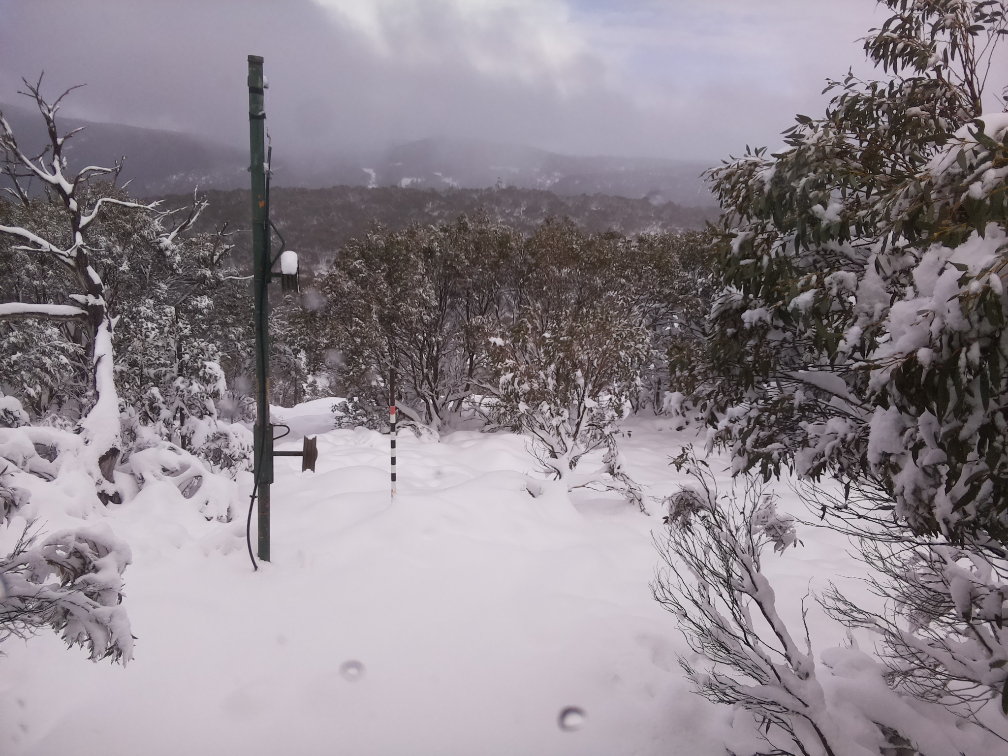 Bogong Web Cam 1:00pm Sunday 8th of June 2025