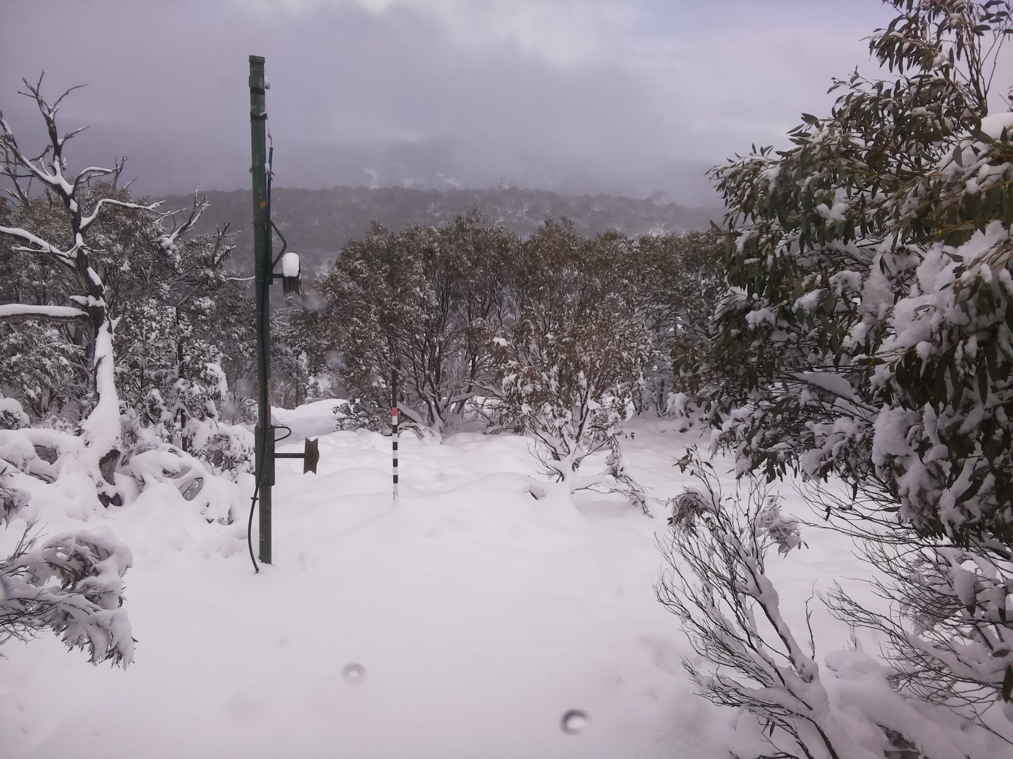 Bogong Web Cam 1:10pm Sunday 8th of June 2025
