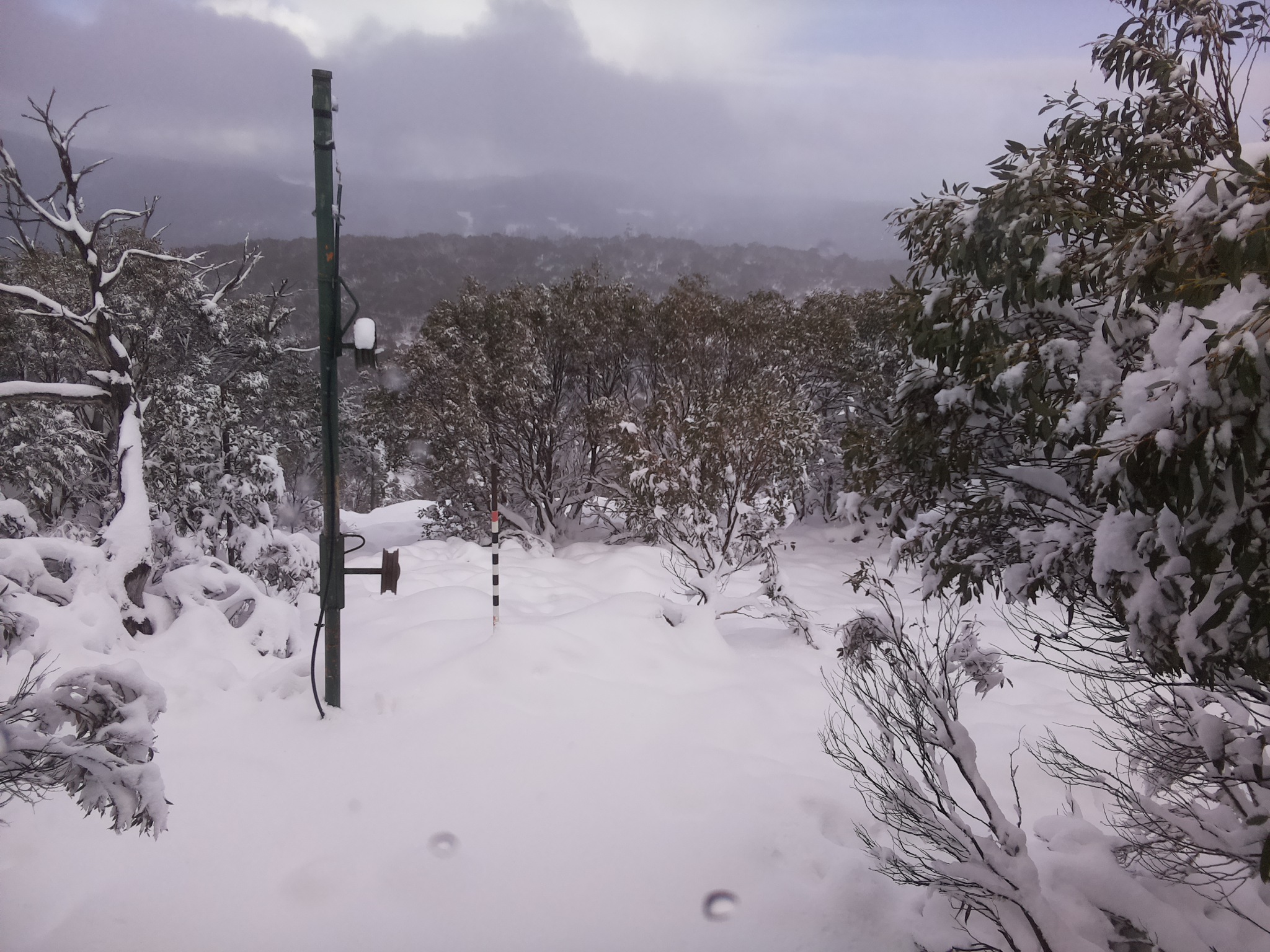 Bogong Web Cam 1:20pm Sunday 8th of June 2025