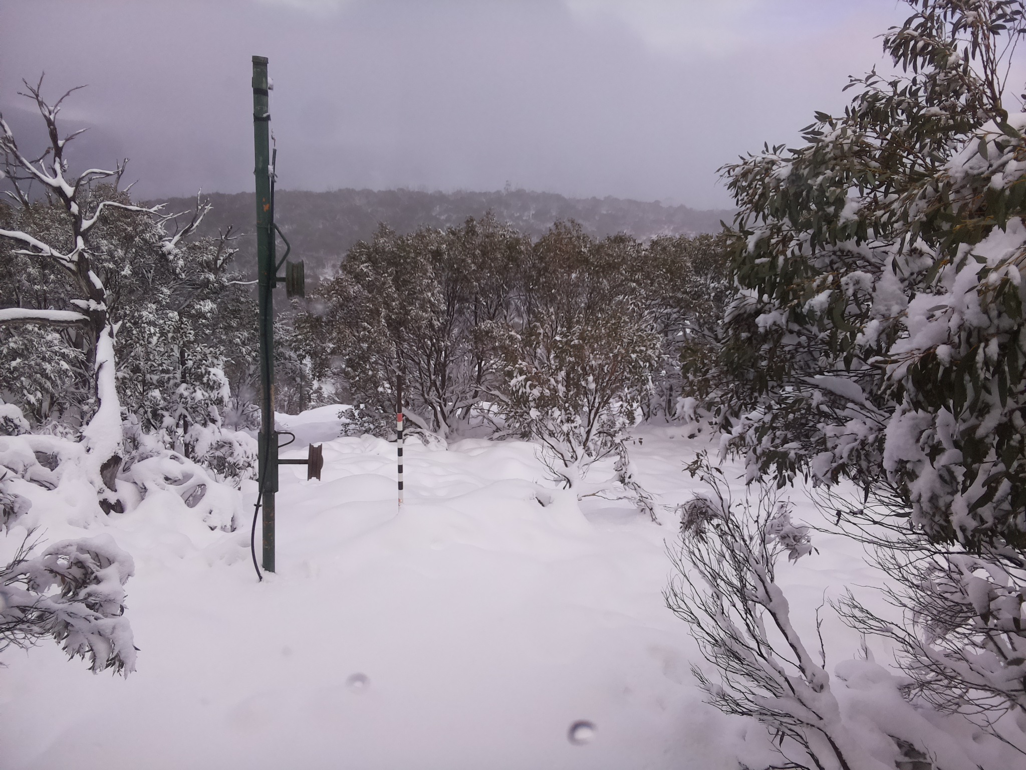 Bogong Web Cam 1:40pm Sunday 8th of June 2025
