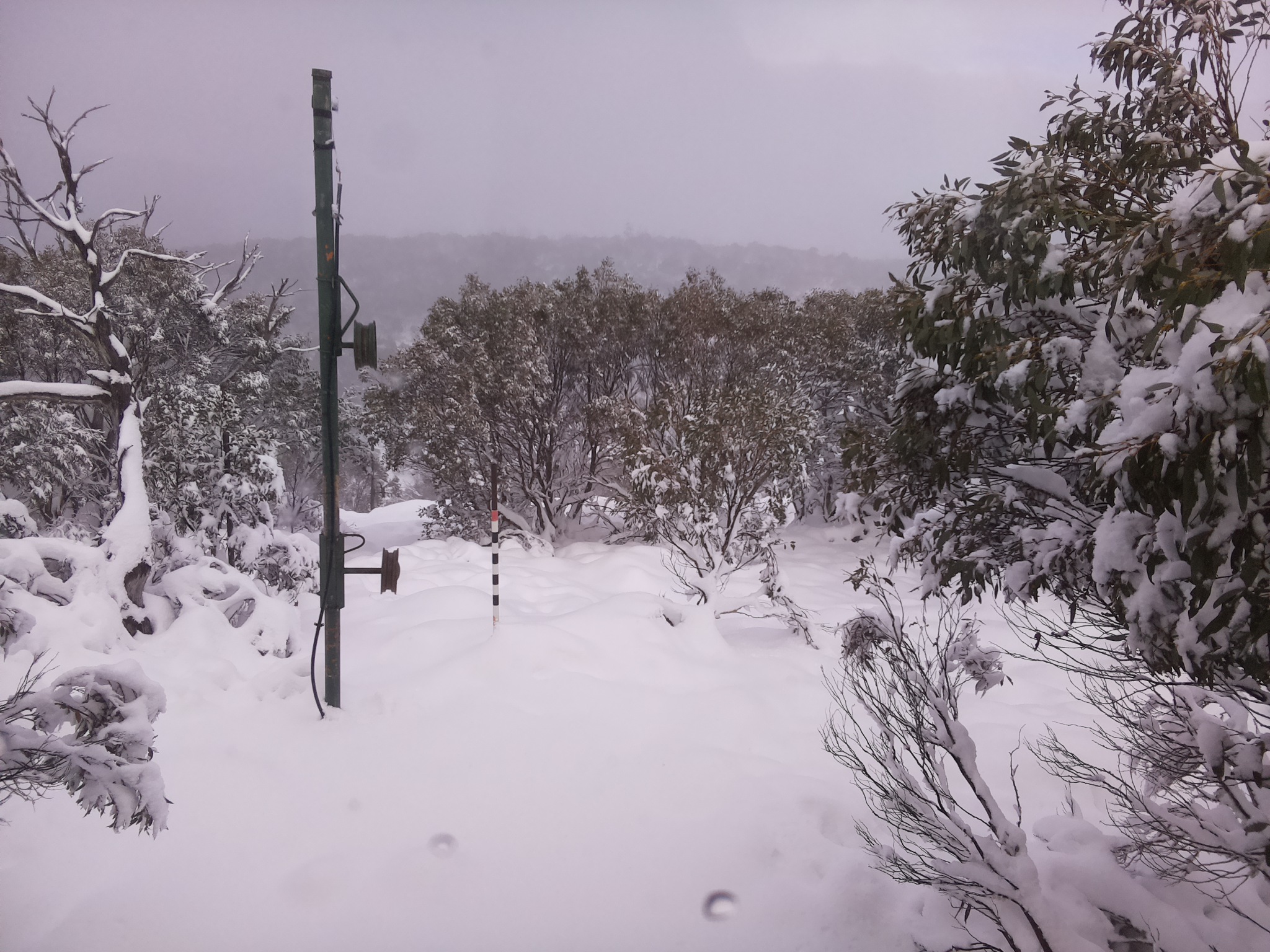 Bogong Web Cam 1:50pm Sunday 8th of June 2025