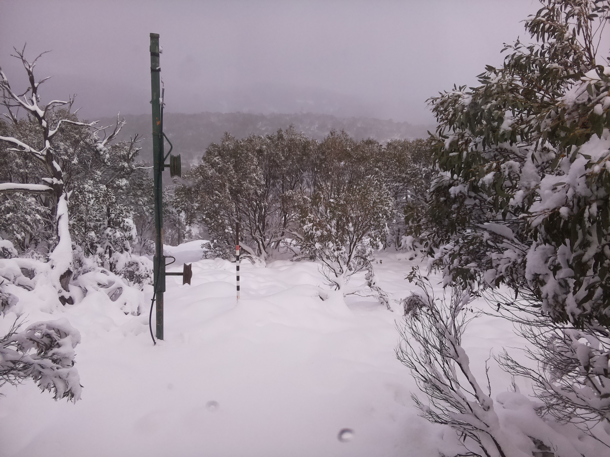 Bogong Web Cam 2:10pm Sunday 8th of June 2025