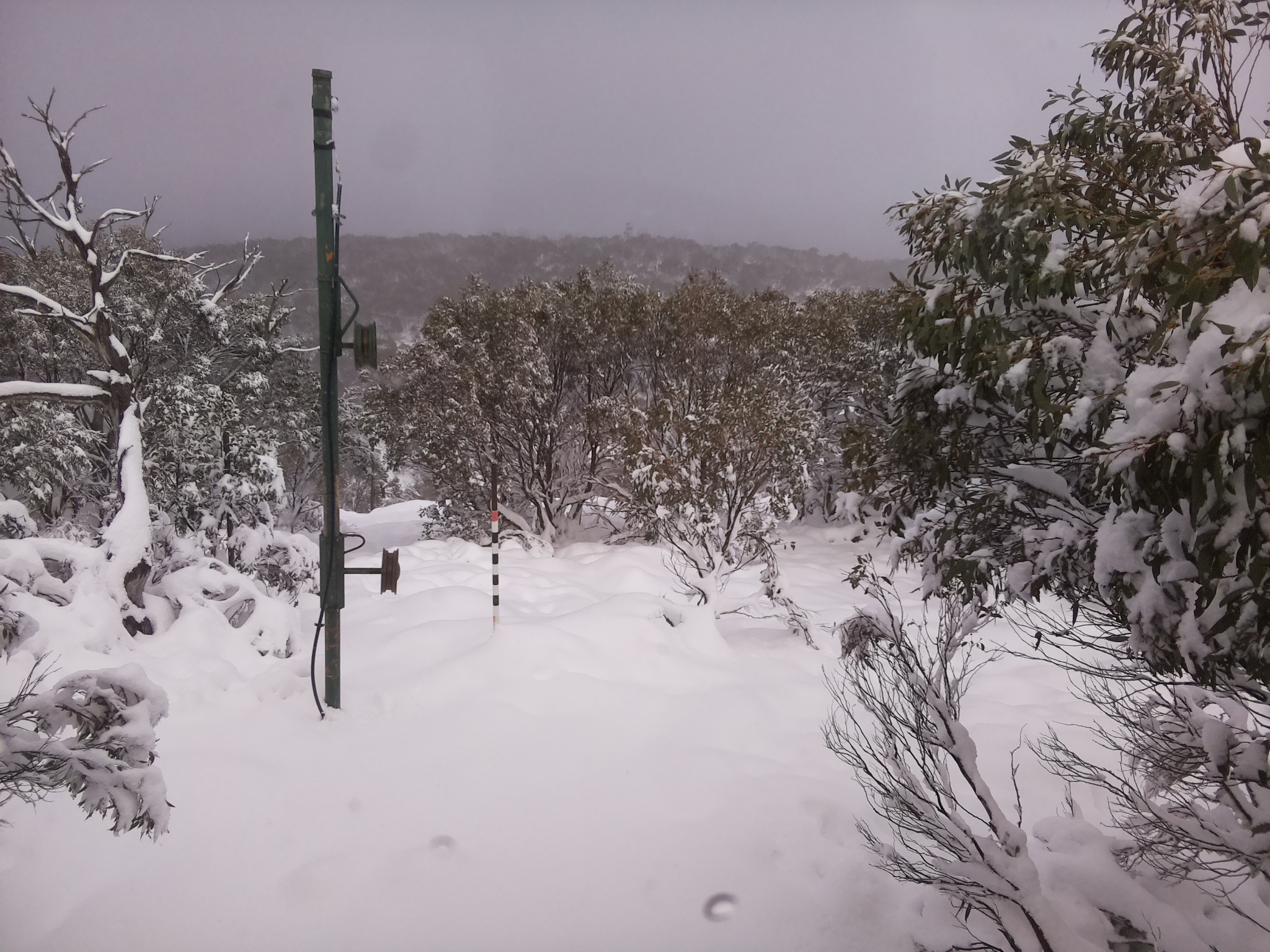 Bogong Web Cam 2:20pm Sunday 8th of June 2025