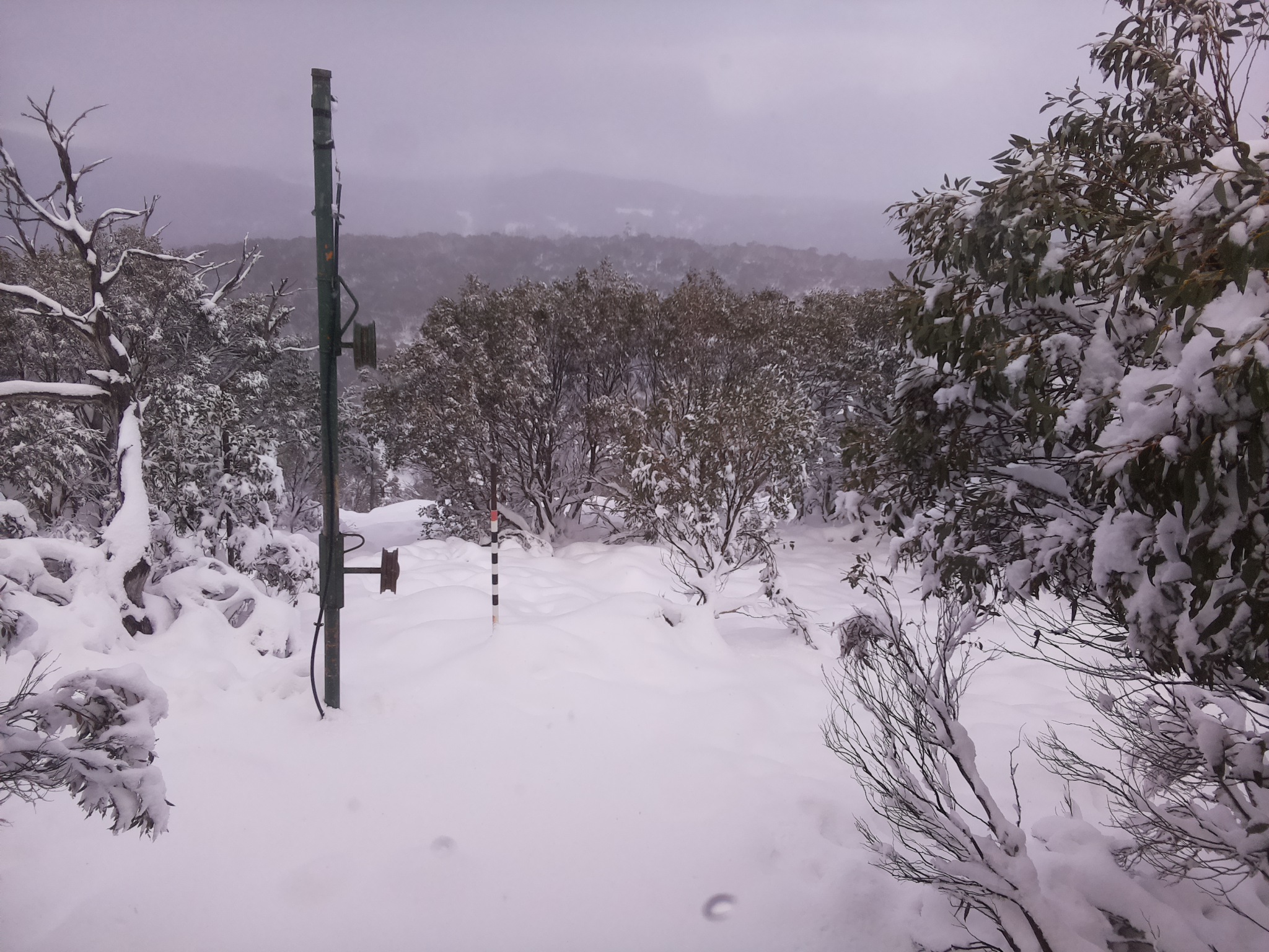 Bogong Web Cam 2:40pm Sunday 8th of June 2025