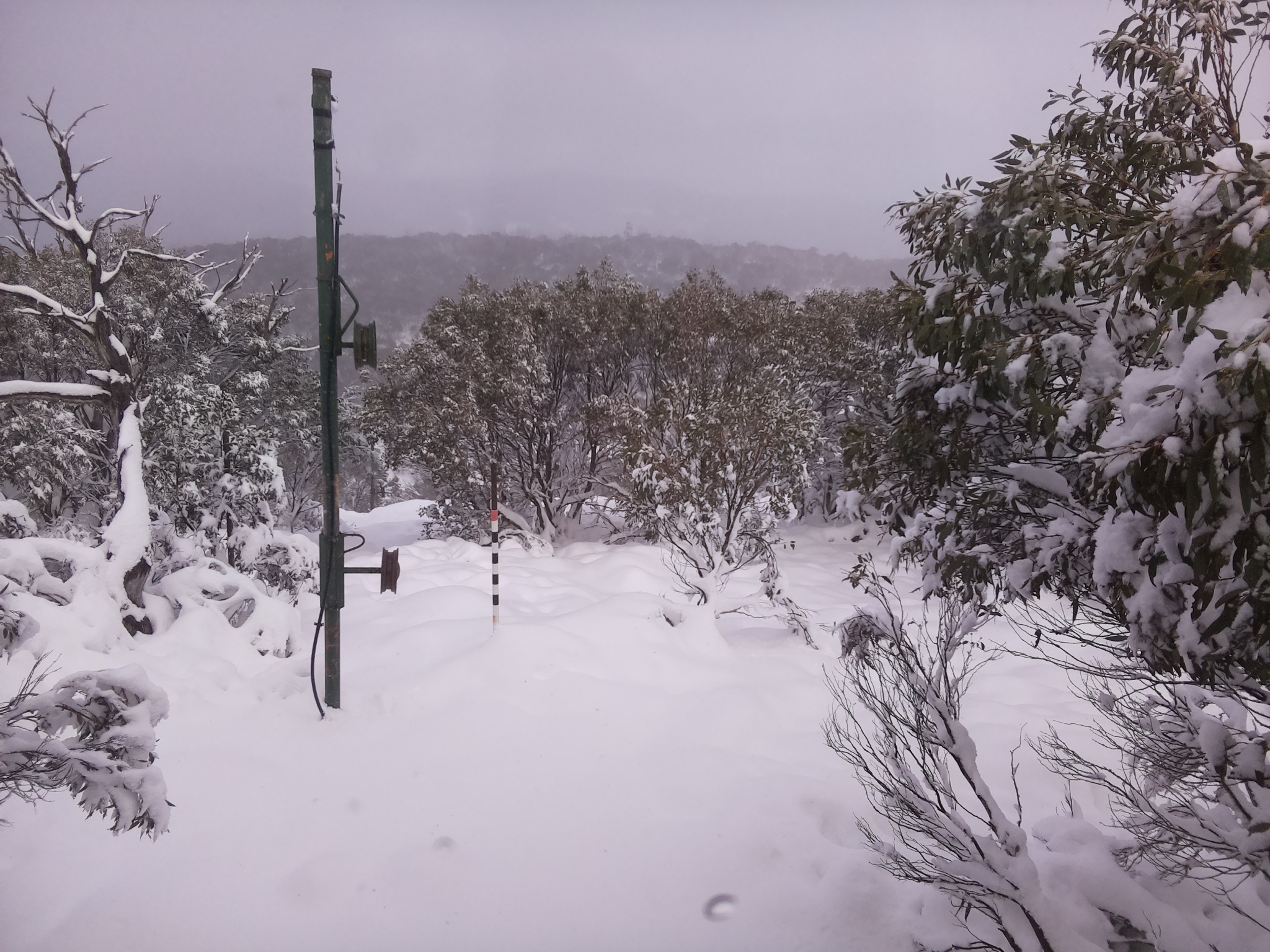 Bogong Web Cam 2:50pm Sunday 8th of June 2025