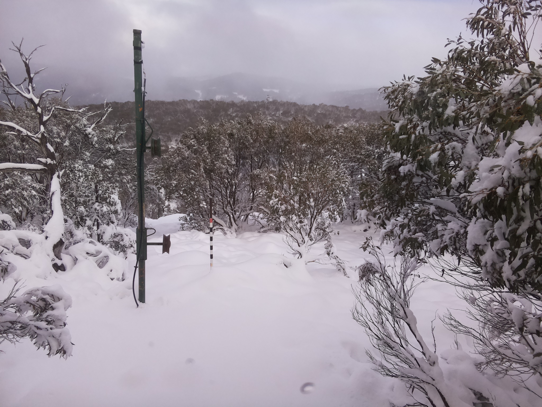 Bogong Web Cam 3:00pm Sunday 8th of June 2025