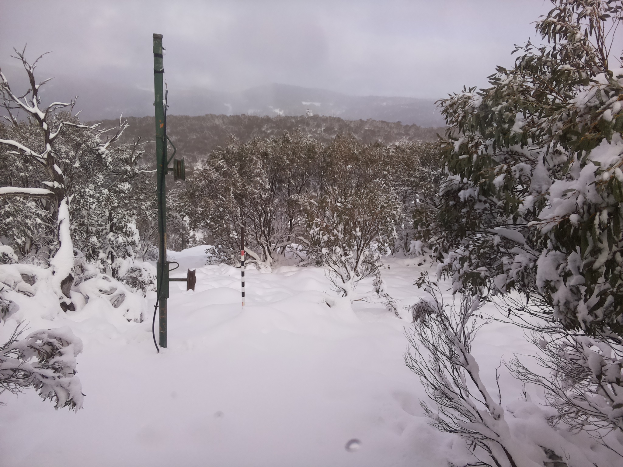 Bogong Web Cam 3:10pm Sunday 8th of June 2025