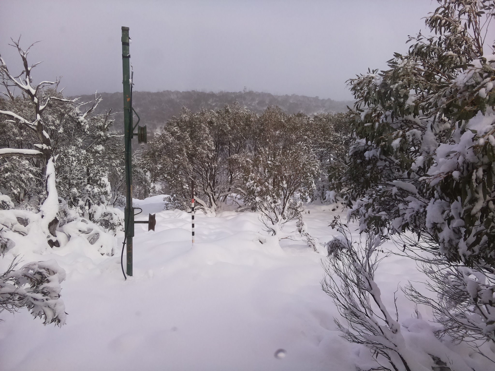Bogong Web Cam 3:30pm Sunday 8th of June 2025