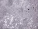 Thumbnail 10:10am Monday 9th of June 2025
