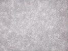Thumbnail 11:20am Monday 9th of June 2025