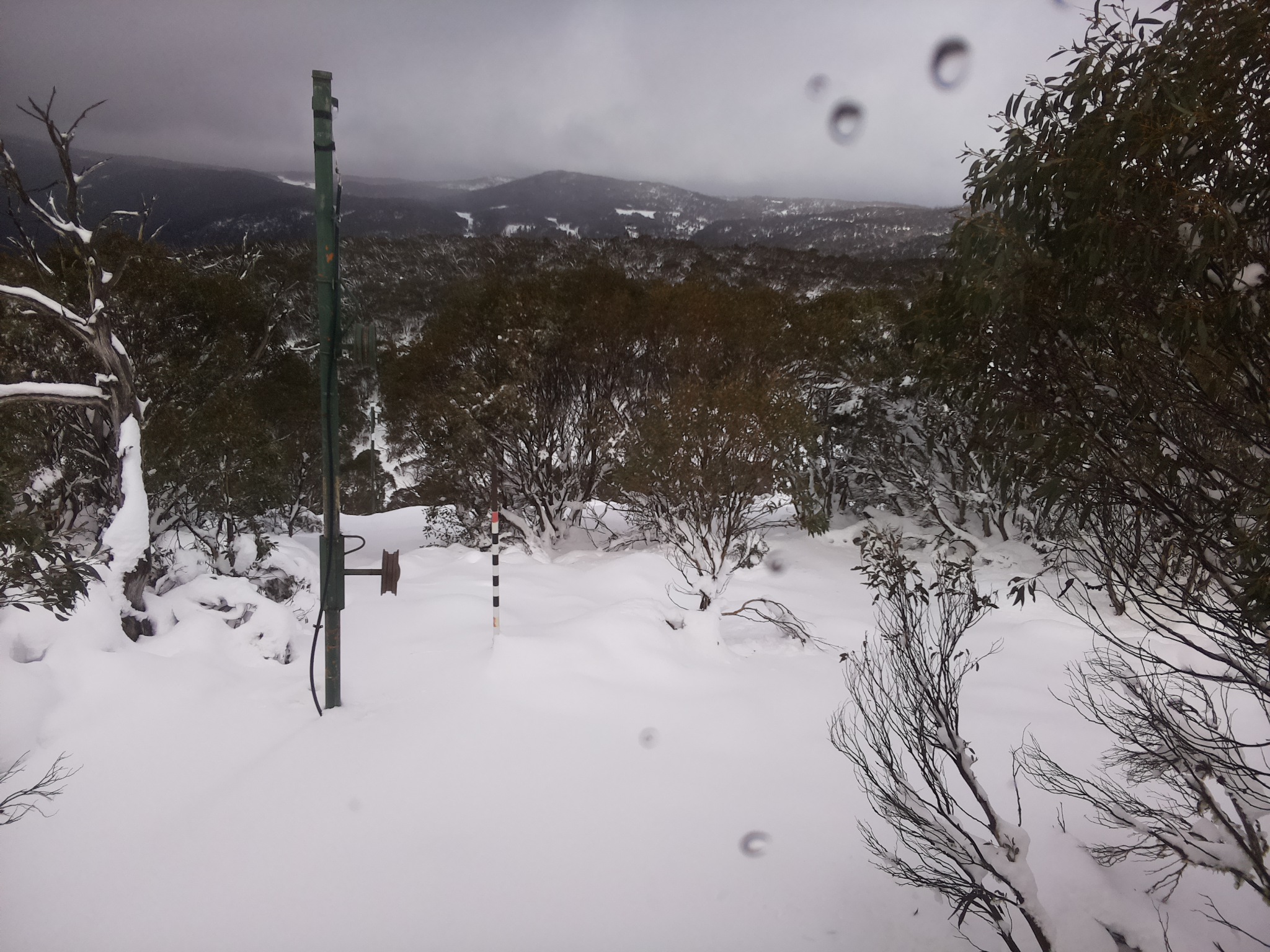 Bogong Web Cam 12:40pm Tuesday 10th of June 2025