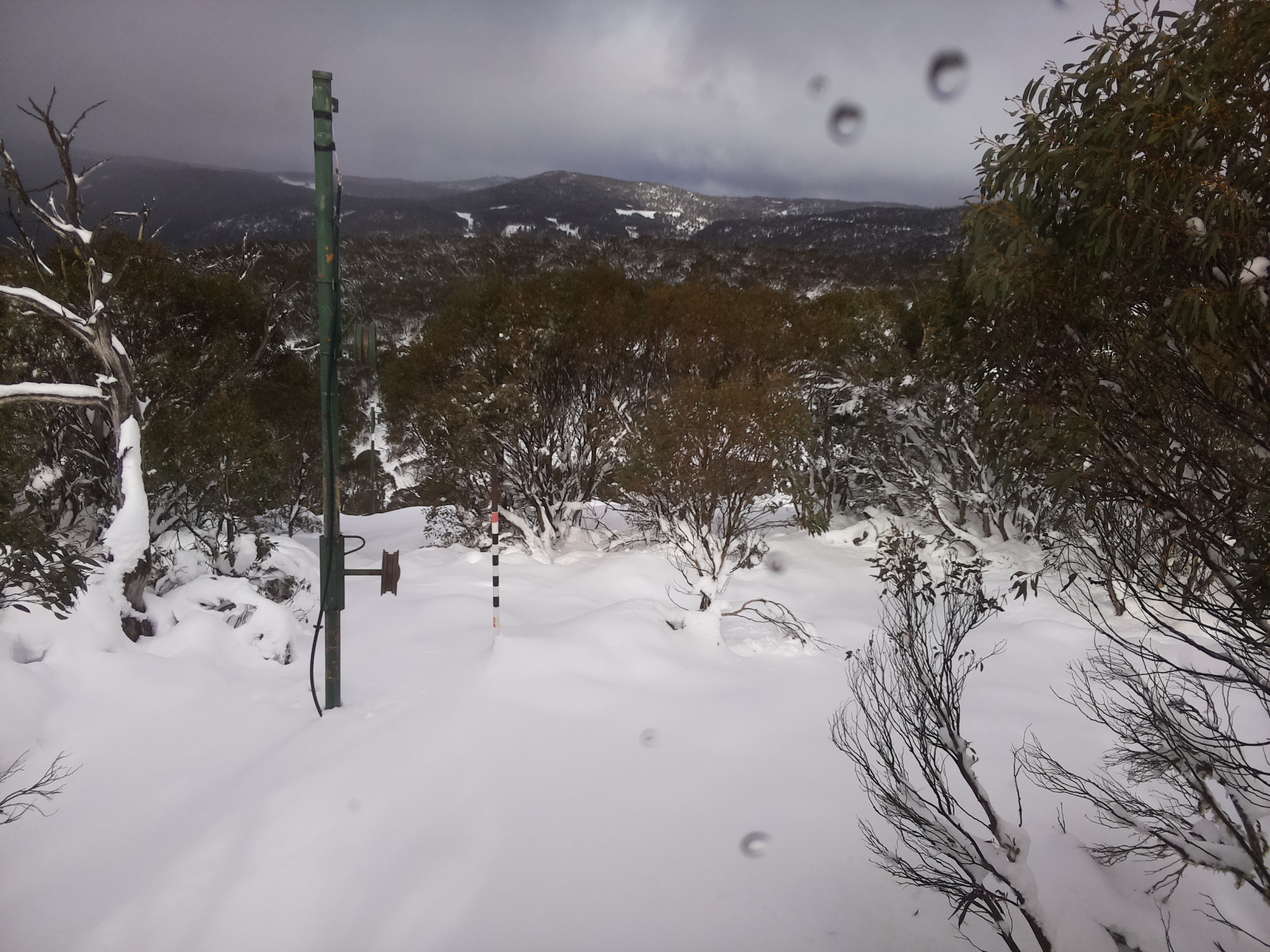 Bogong Web Cam 12:50pm Tuesday 10th of June 2025