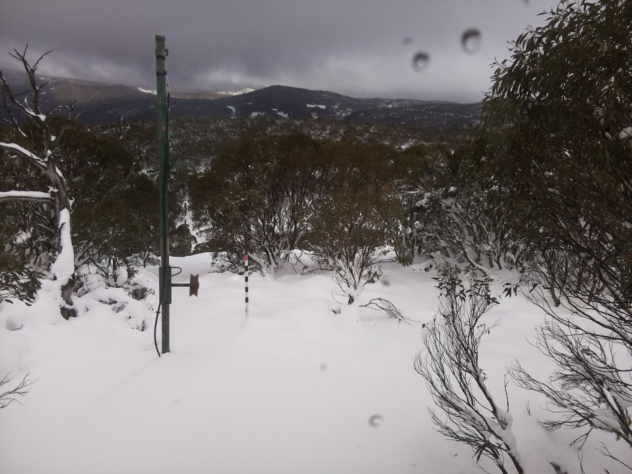 Bogong Web Cam 1:00pm Tuesday 10th of June 2025