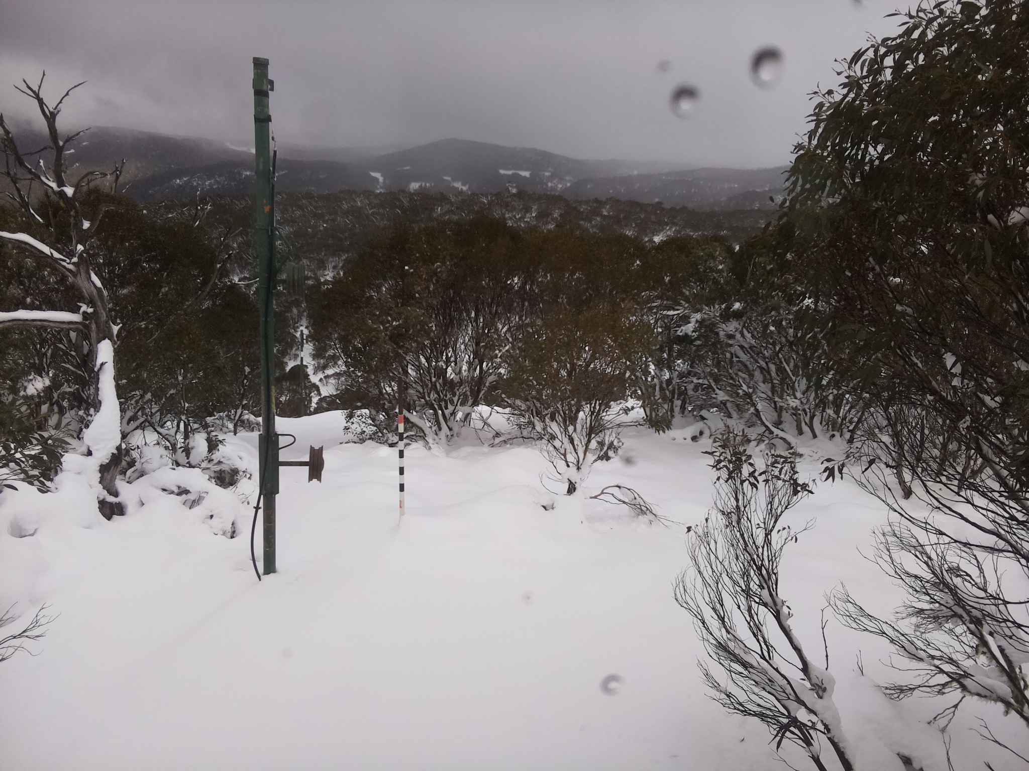 Bogong Web Cam 1:10pm Tuesday 10th of June 2025
