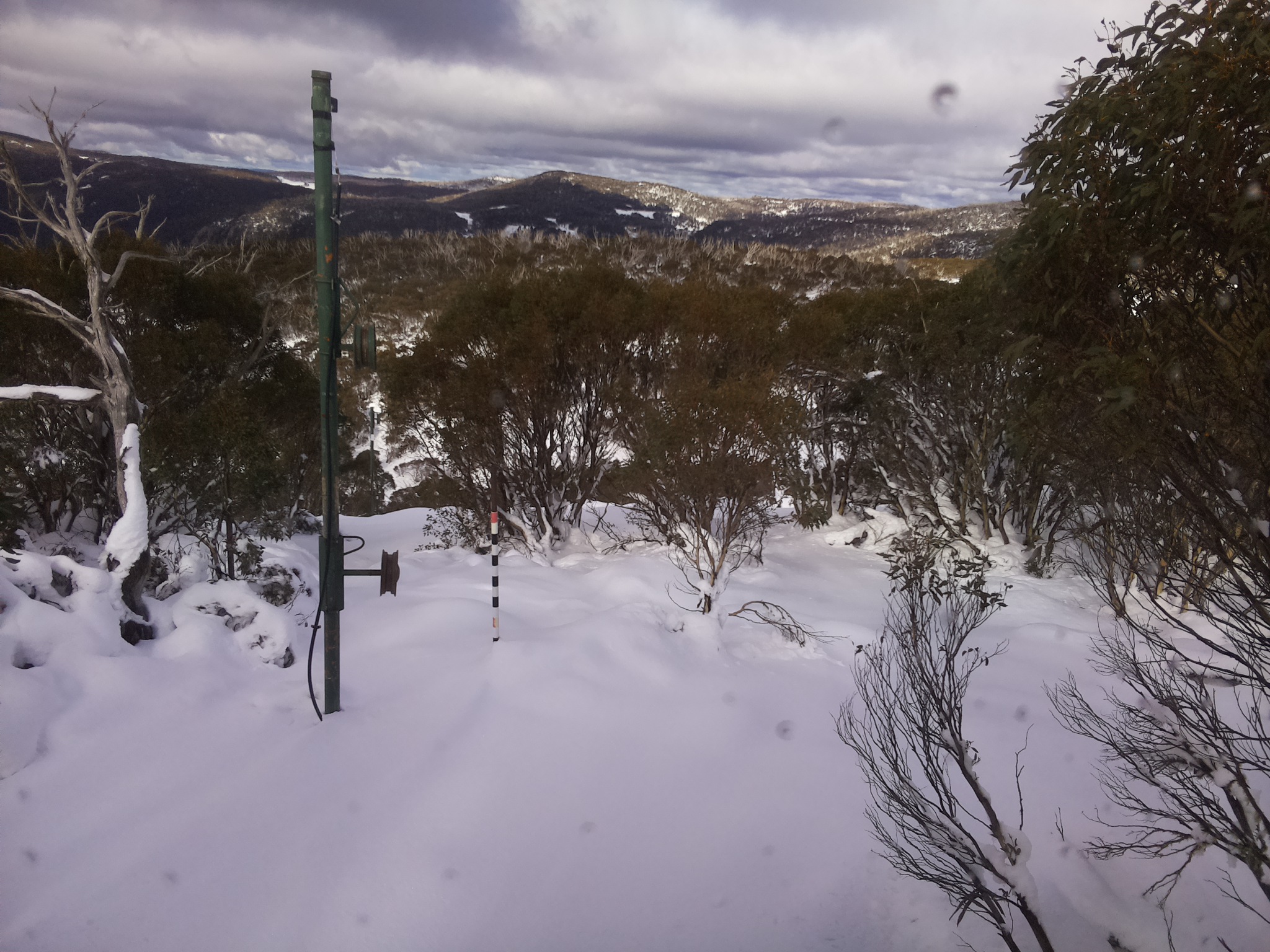 Bogong Web Cam 12:30pm Wednesday 11th of June 2025