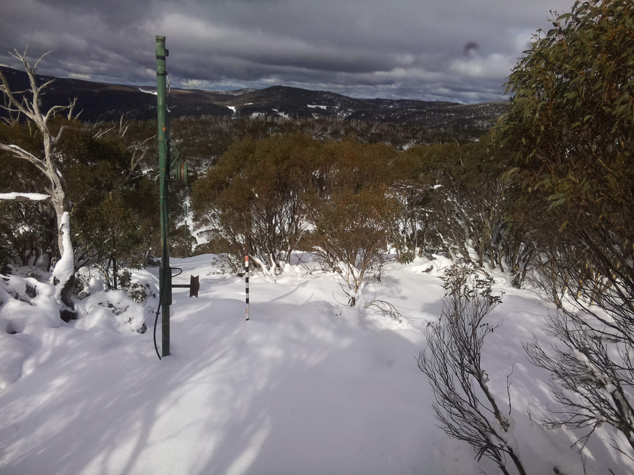 Bogong Web Cam 12:40pm Wednesday 11th of June 2025