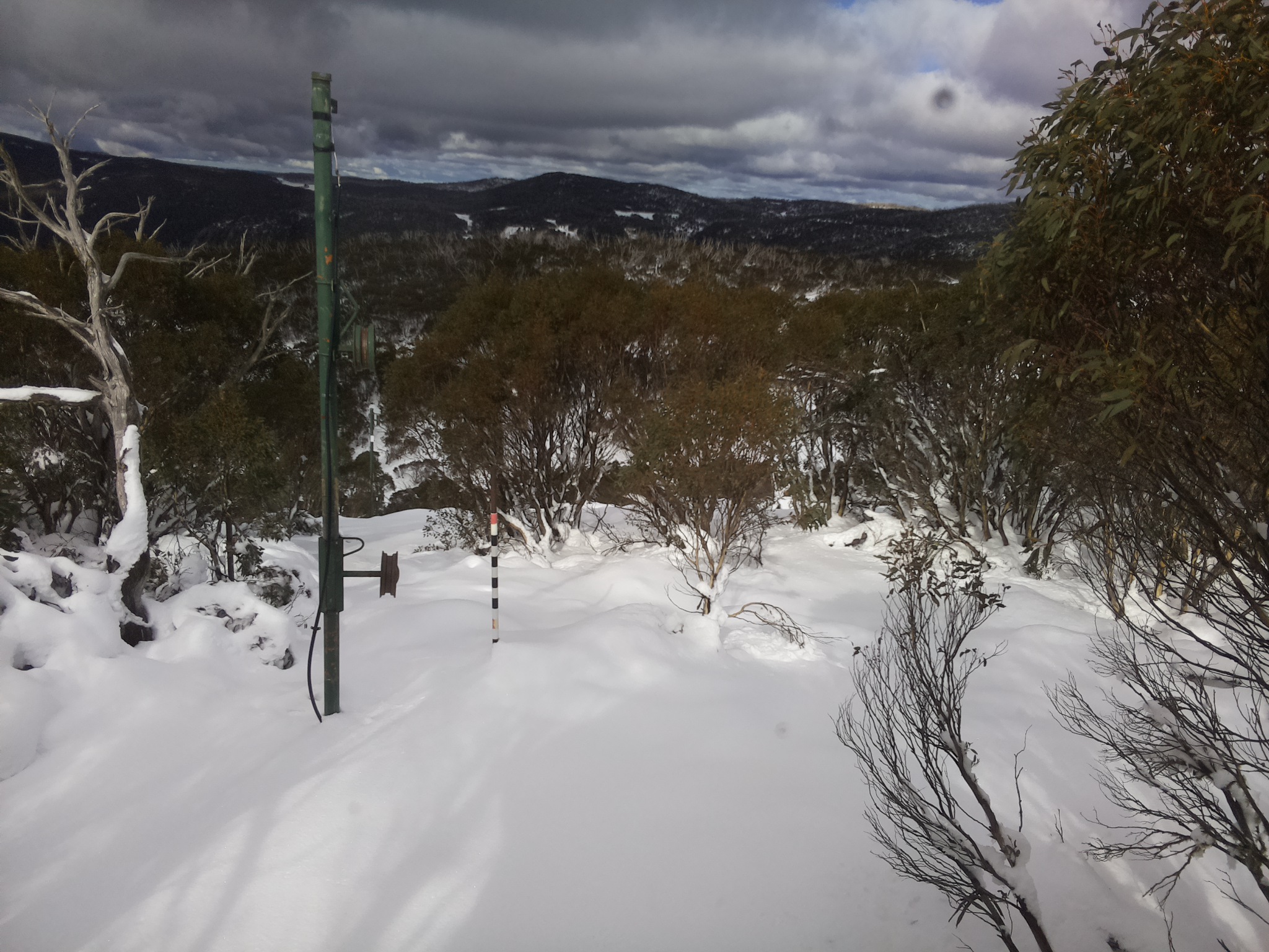 Bogong Web Cam 12:50pm Wednesday 11th of June 2025