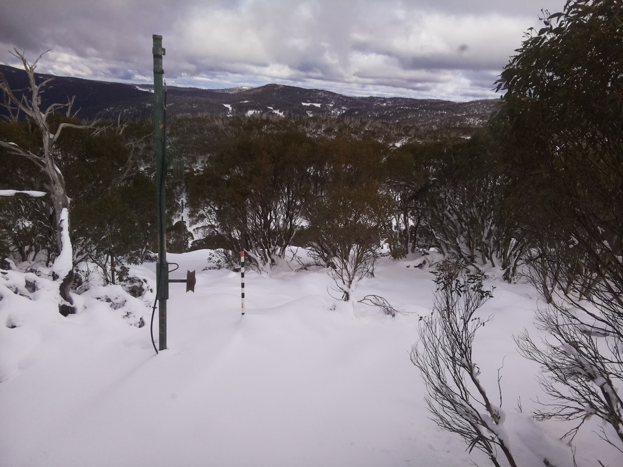 Bogong Web Cam 1:10pm Wednesday 11th of June 2025