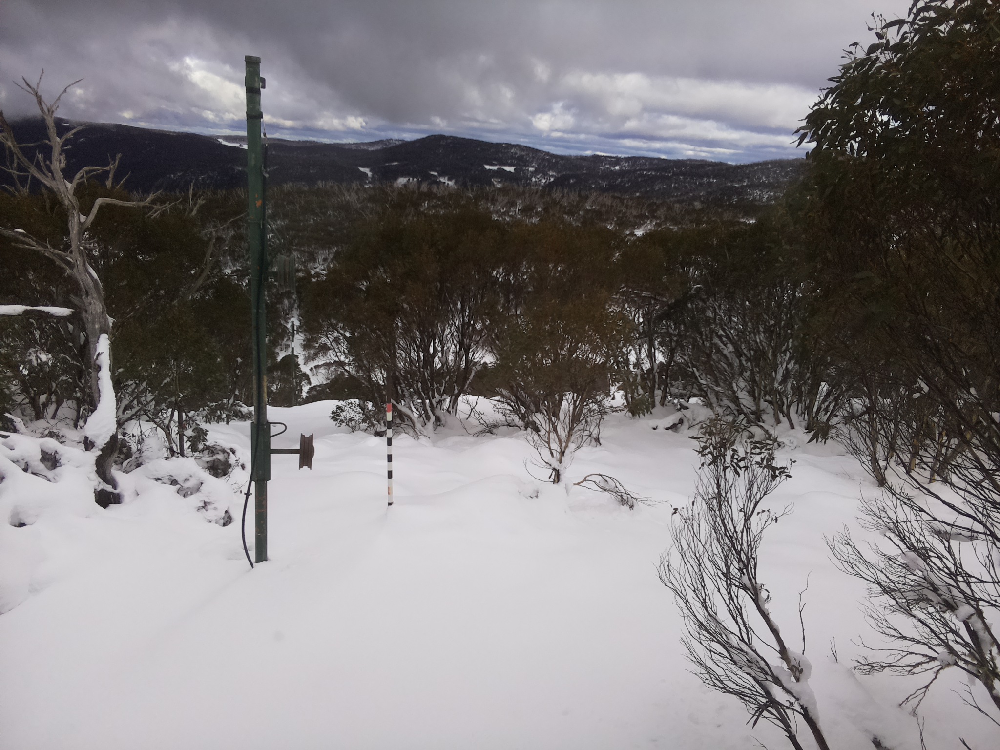 Bogong Web Cam 1:50pm Wednesday 11th of June 2025