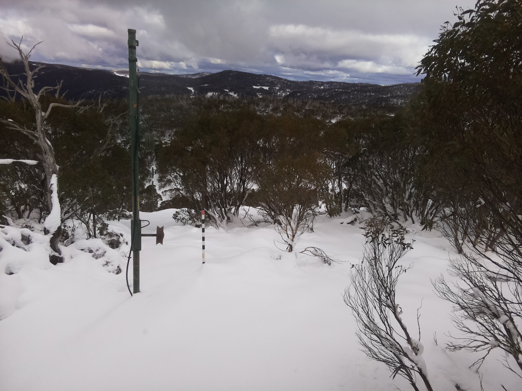 Bogong Web Cam 2:00pm Wednesday 11th of June 2025