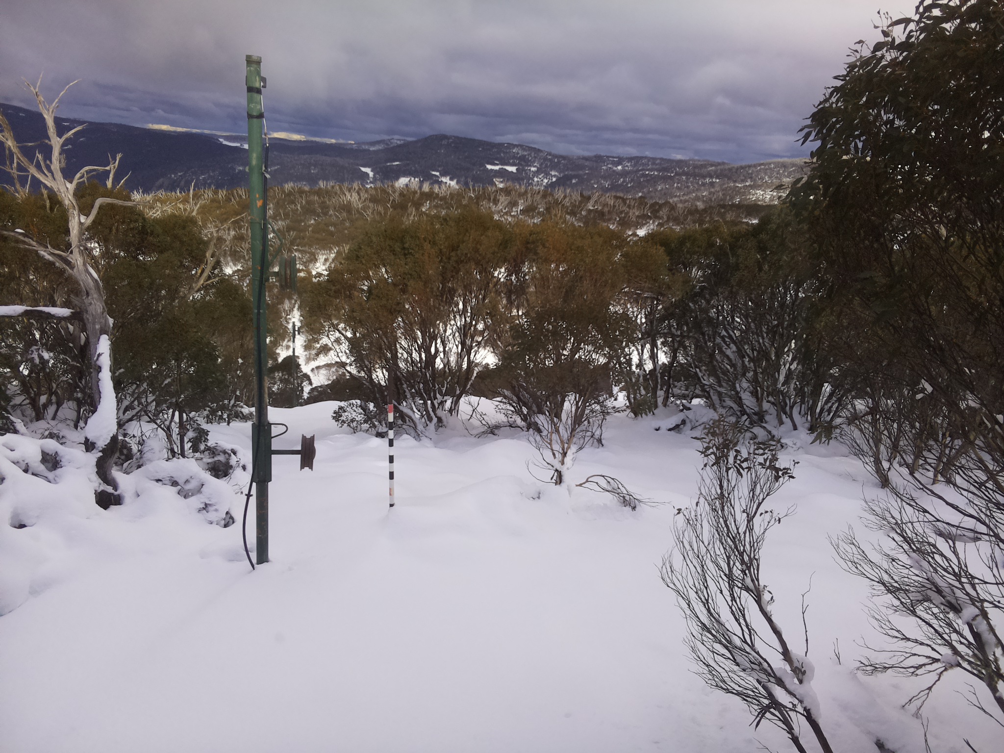 Bogong Web Cam 2:50pm Wednesday 11th of June 2025