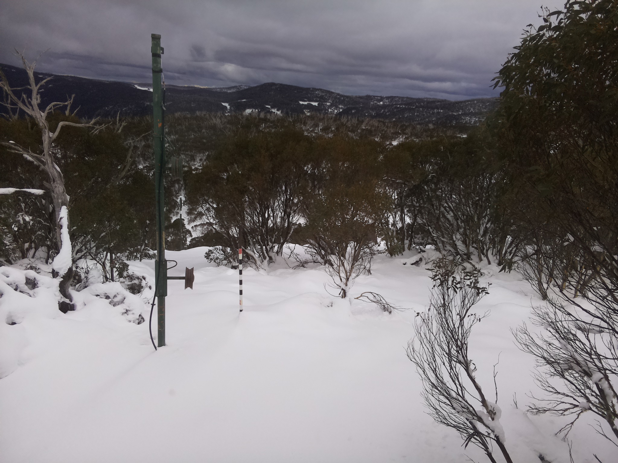 Bogong Web Cam 3:10pm Wednesday 11th of June 2025