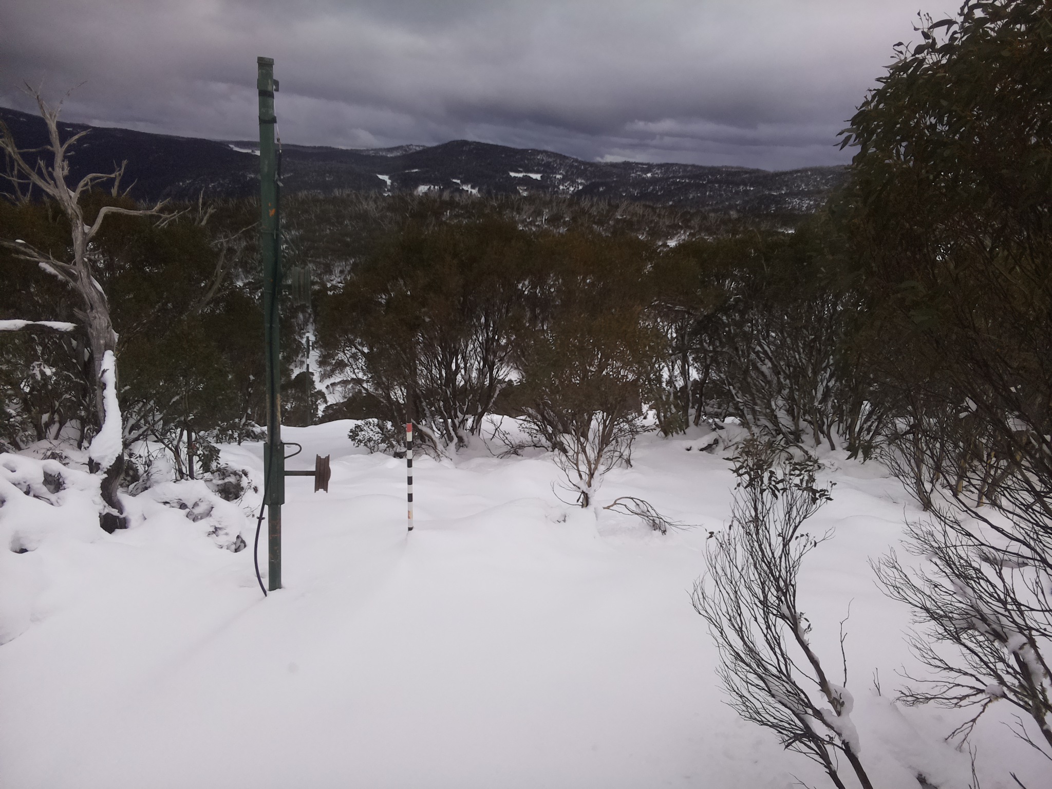 Bogong Web Cam 3:30pm Wednesday 11th of June 2025