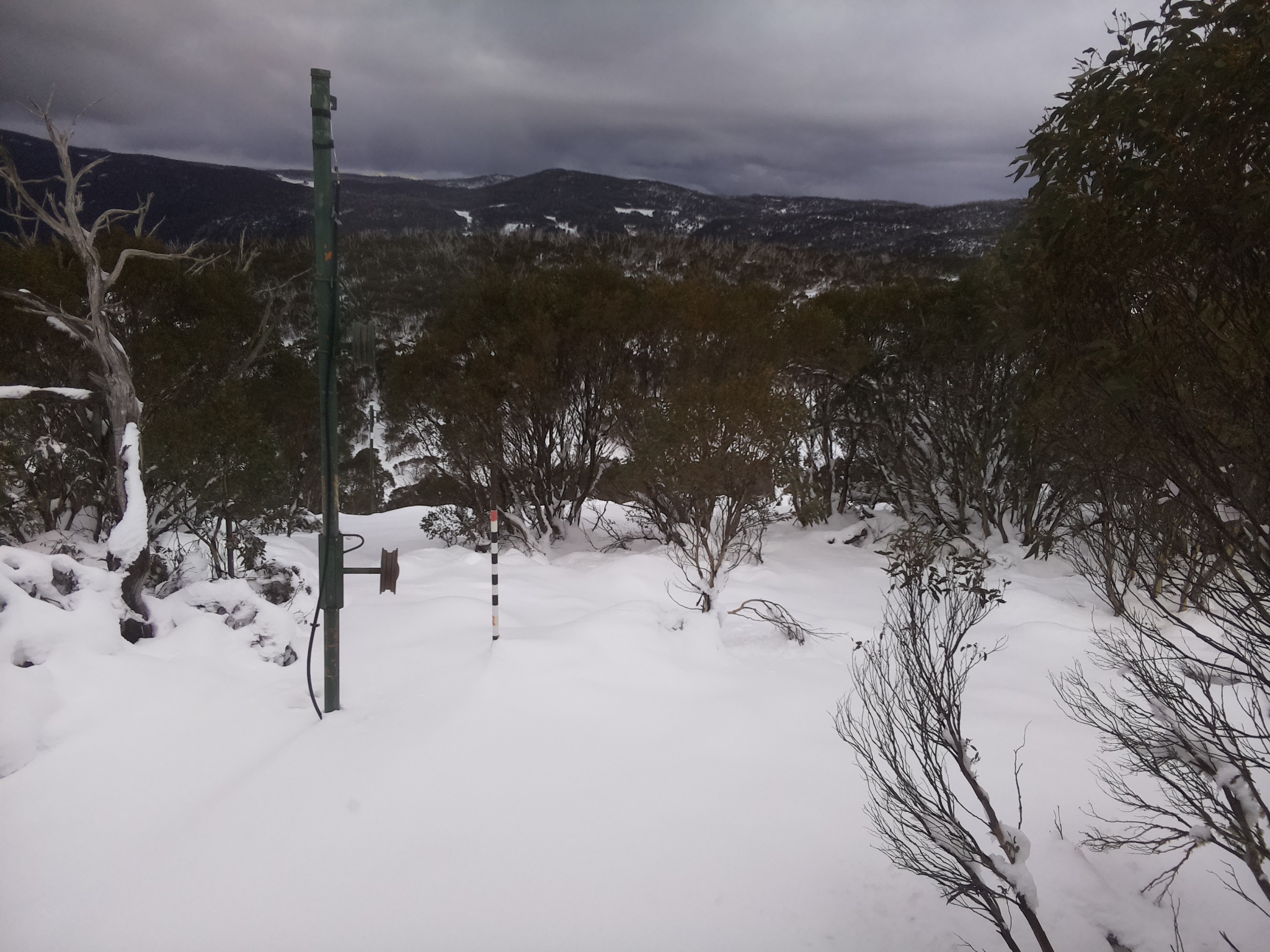 Bogong Web Cam 3:40pm Wednesday 11th of June 2025