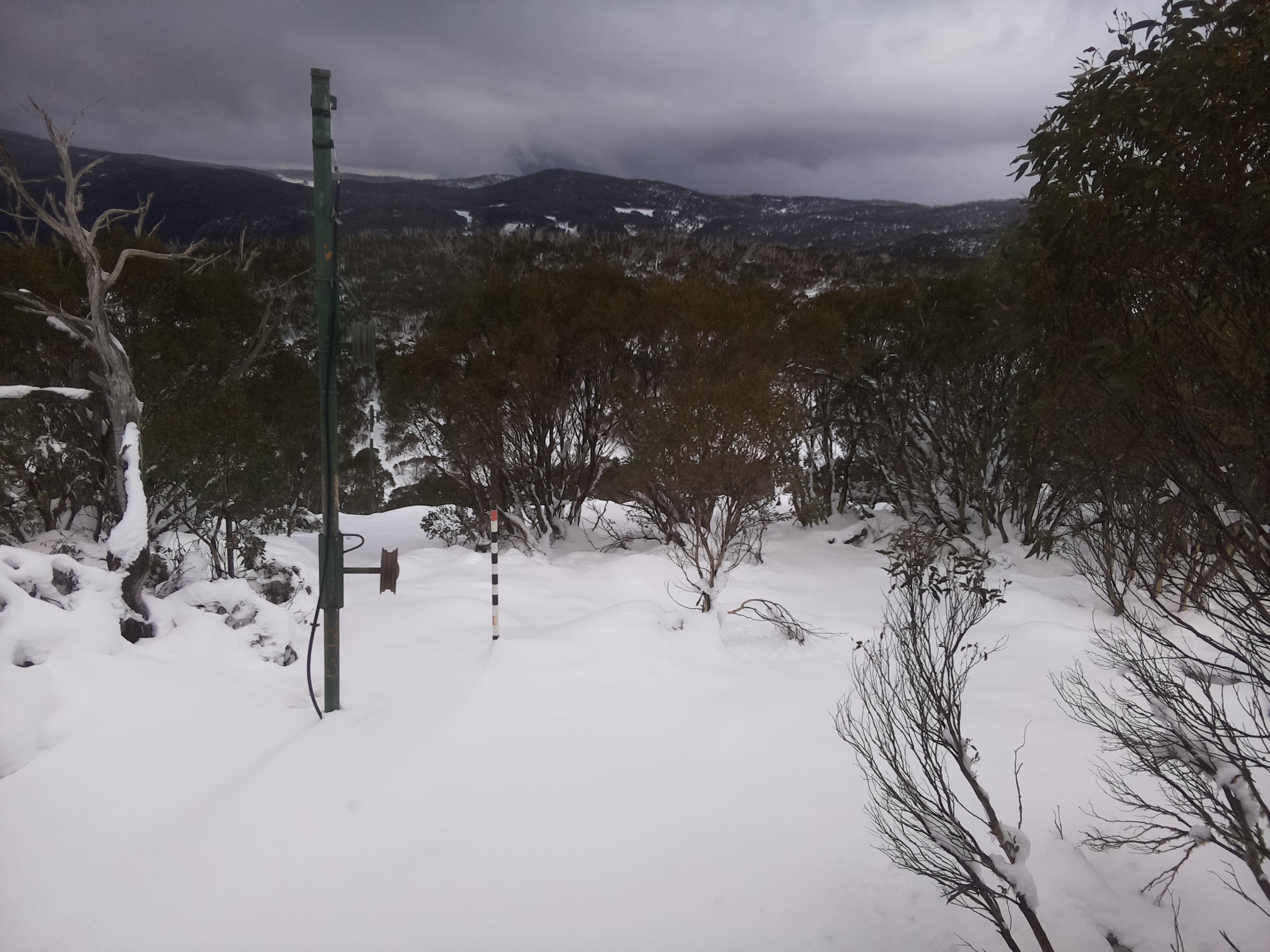 Bogong Web Cam 3:50pm Wednesday 11th of June 2025
