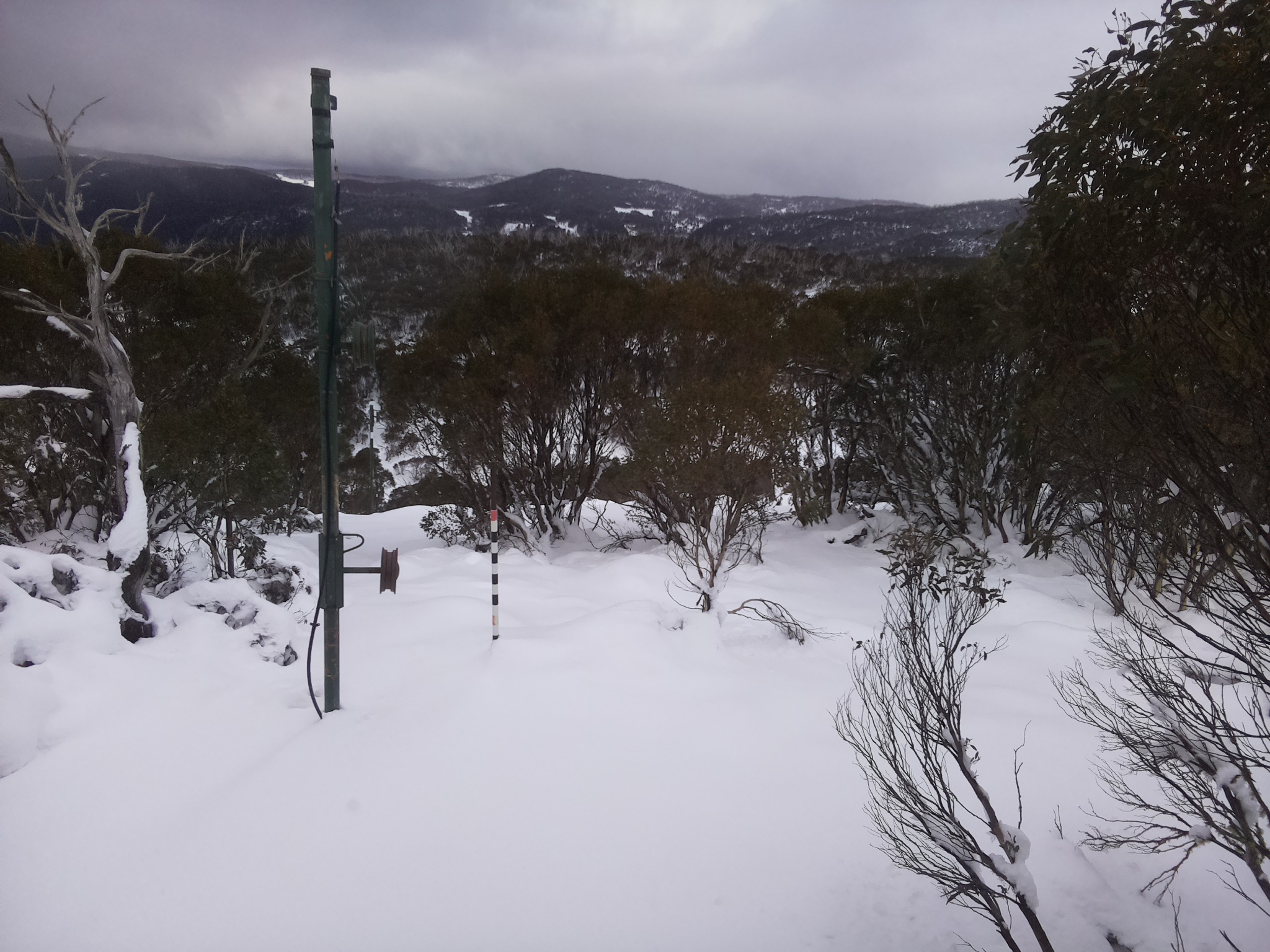 Bogong Web Cam 4:00pm Wednesday 11th of June 2025