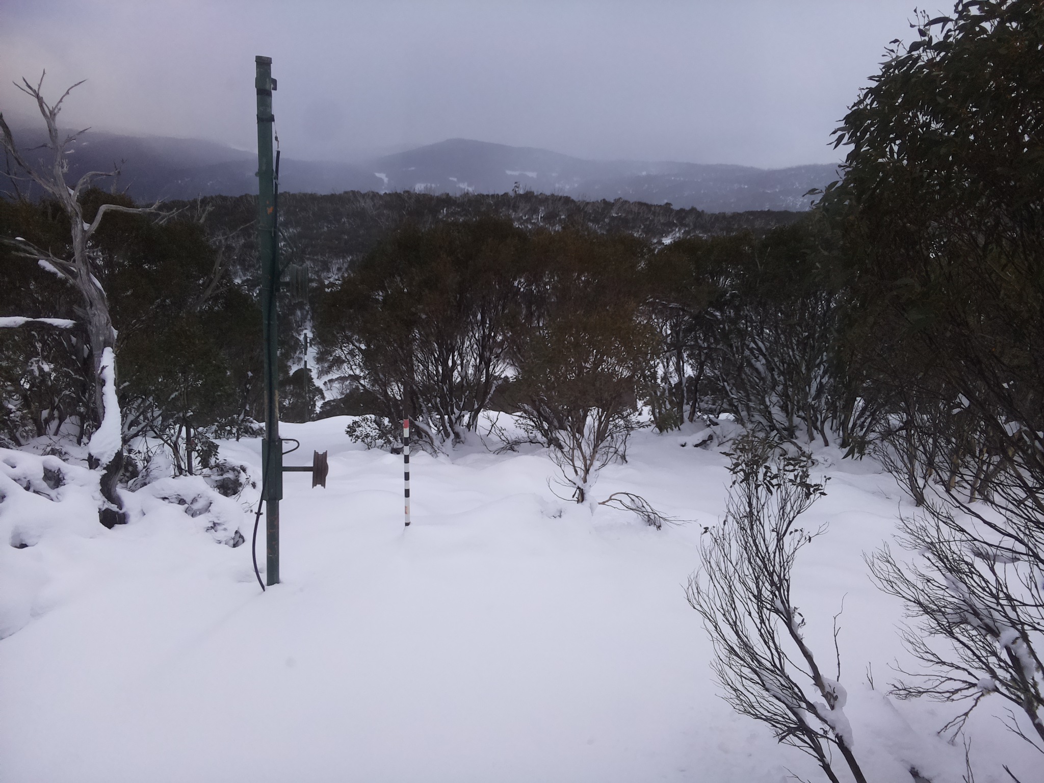 Bogong Web Cam 4:10pm Wednesday 11th of June 2025