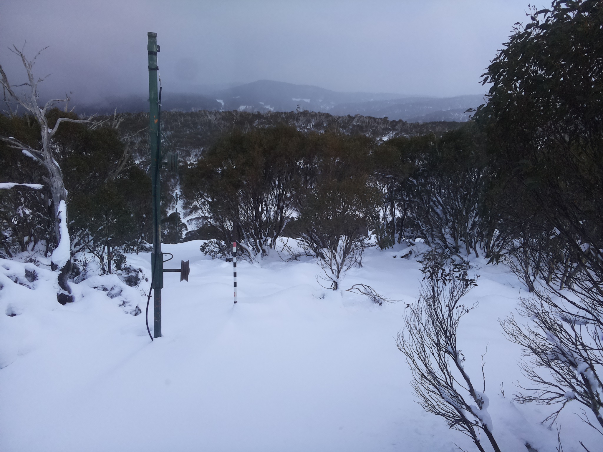 Bogong Web Cam 4:30pm Wednesday 11th of June 2025