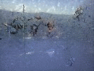 Thumbnail Thursday 12th of June 2025
