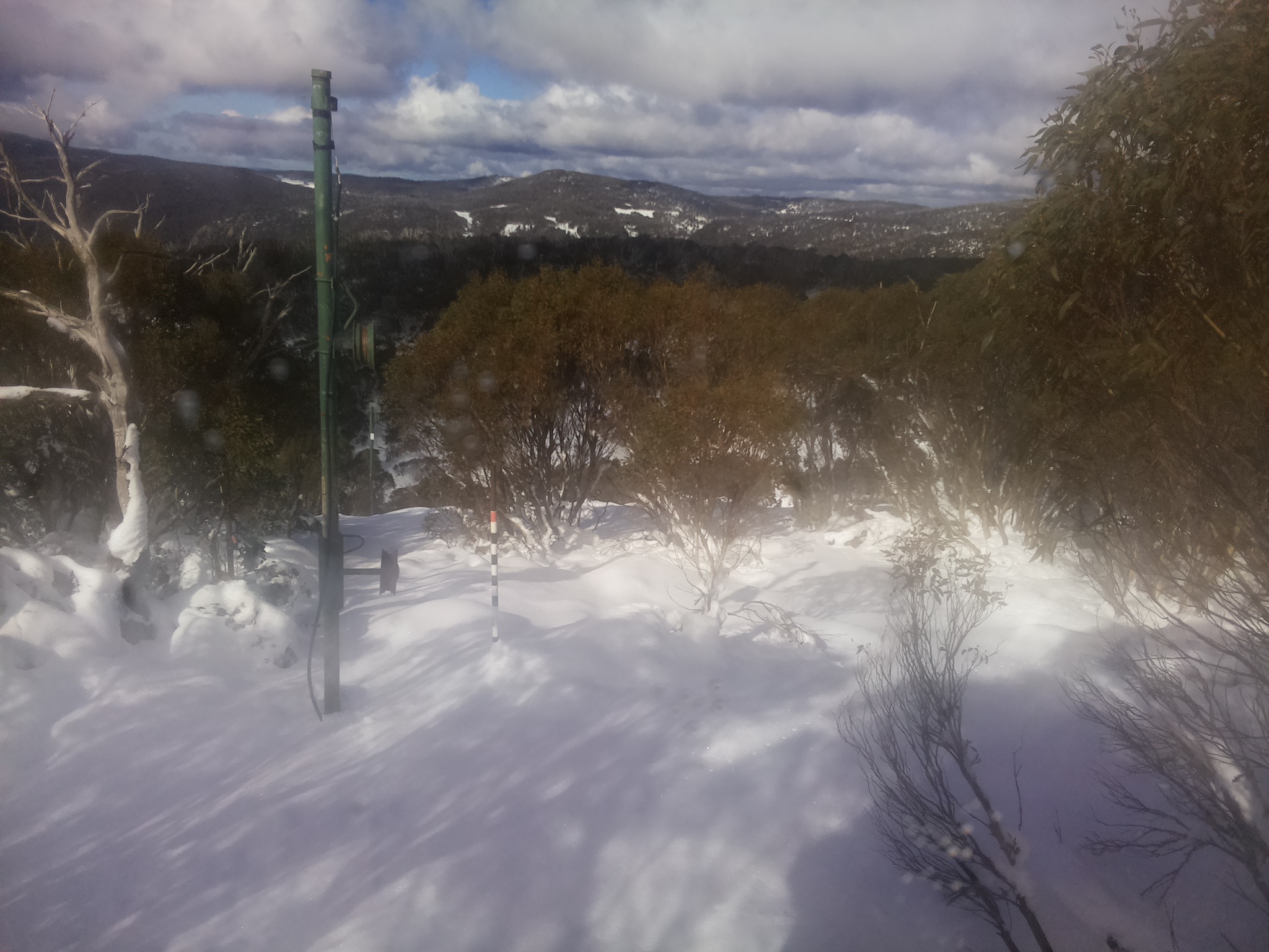 Bogong Web Cam 11:40am Thursday 12th of June 2025
