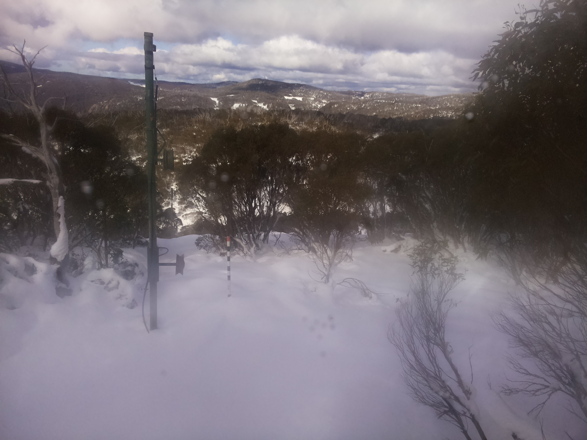Bogong Web Cam 11:50am Thursday 12th of June 2025