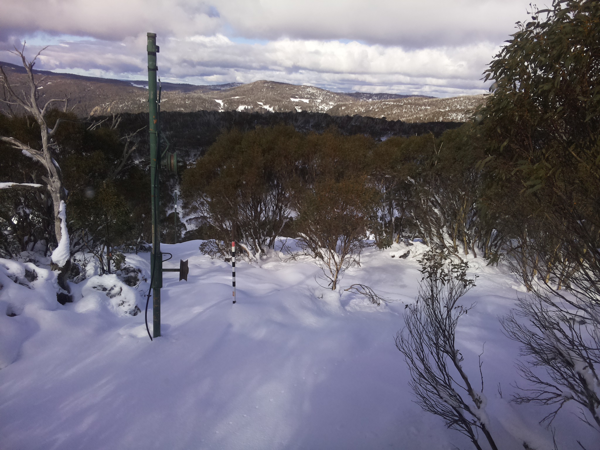 Bogong Web Cam 12:10pm Thursday 12th of June 2025