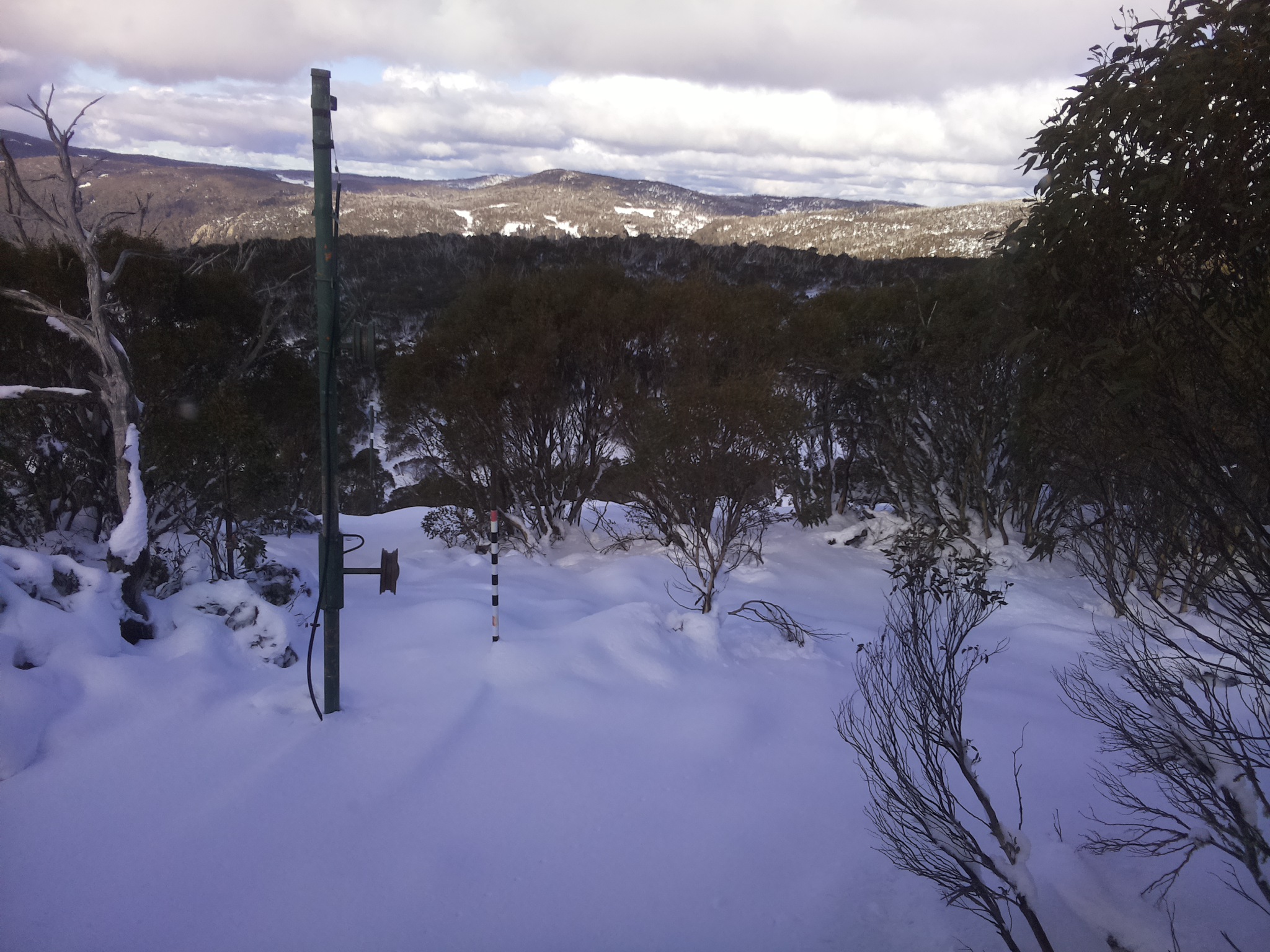Bogong Web Cam 12:20pm Thursday 12th of June 2025
