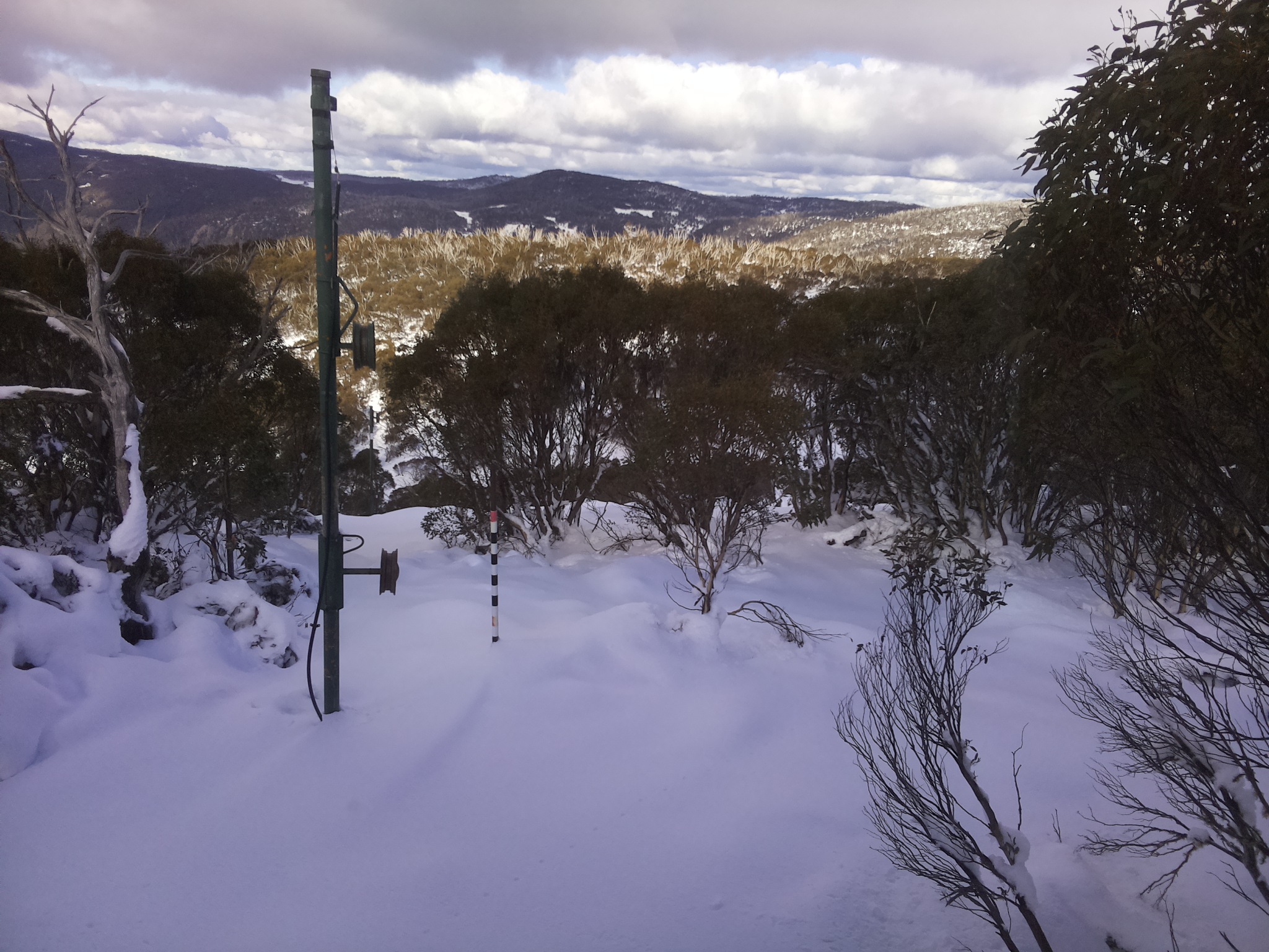 Bogong Web Cam 12:50pm Thursday 12th of June 2025