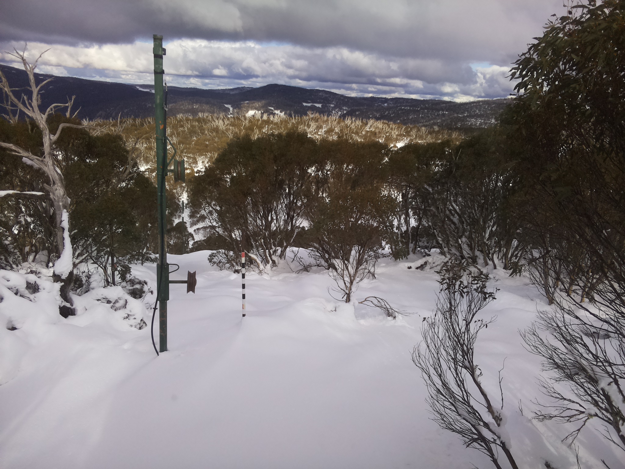 Bogong Web Cam 2:00pm Thursday 12th of June 2025