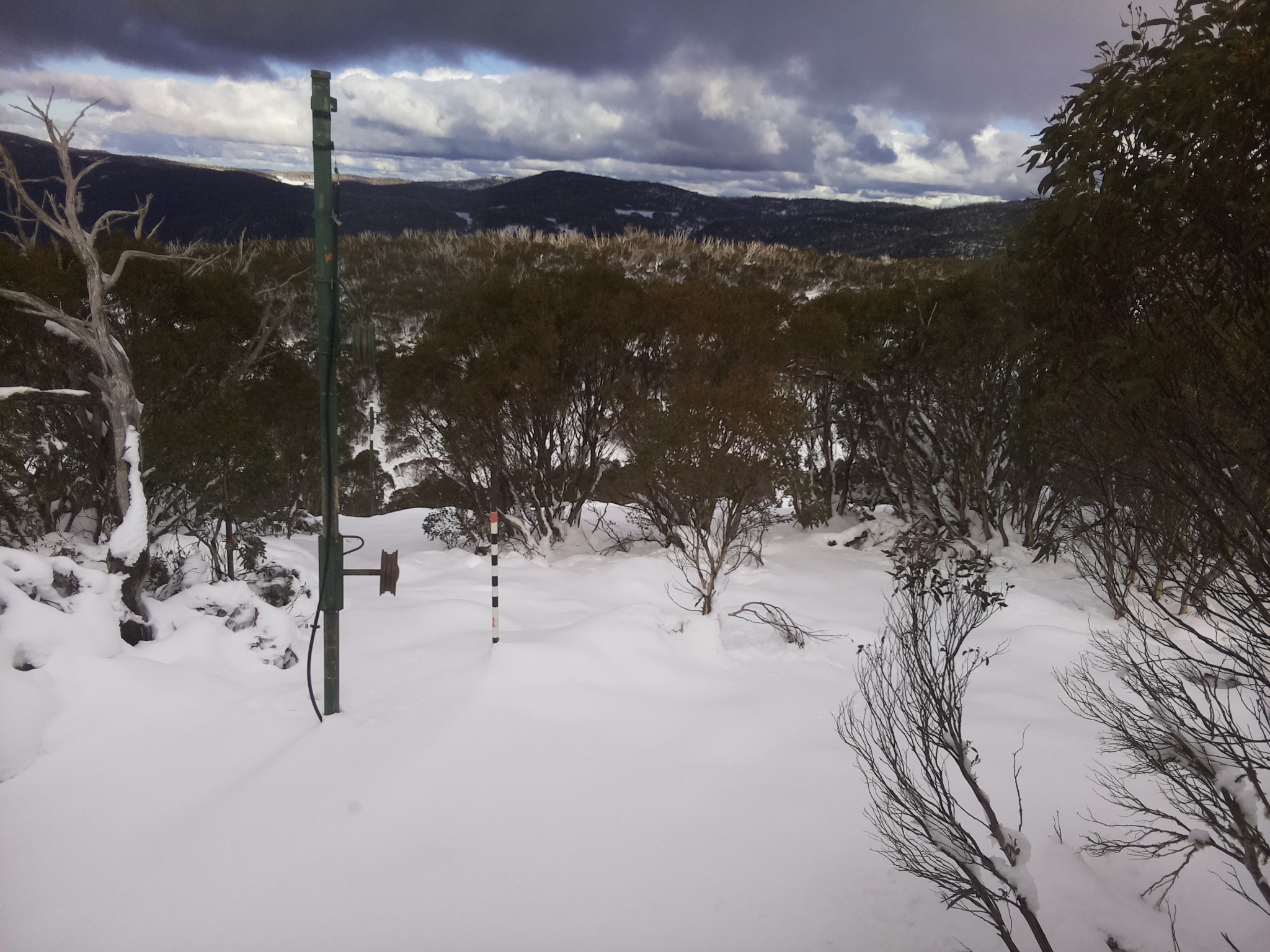 Bogong Web Cam 2:10pm Thursday 12th of June 2025