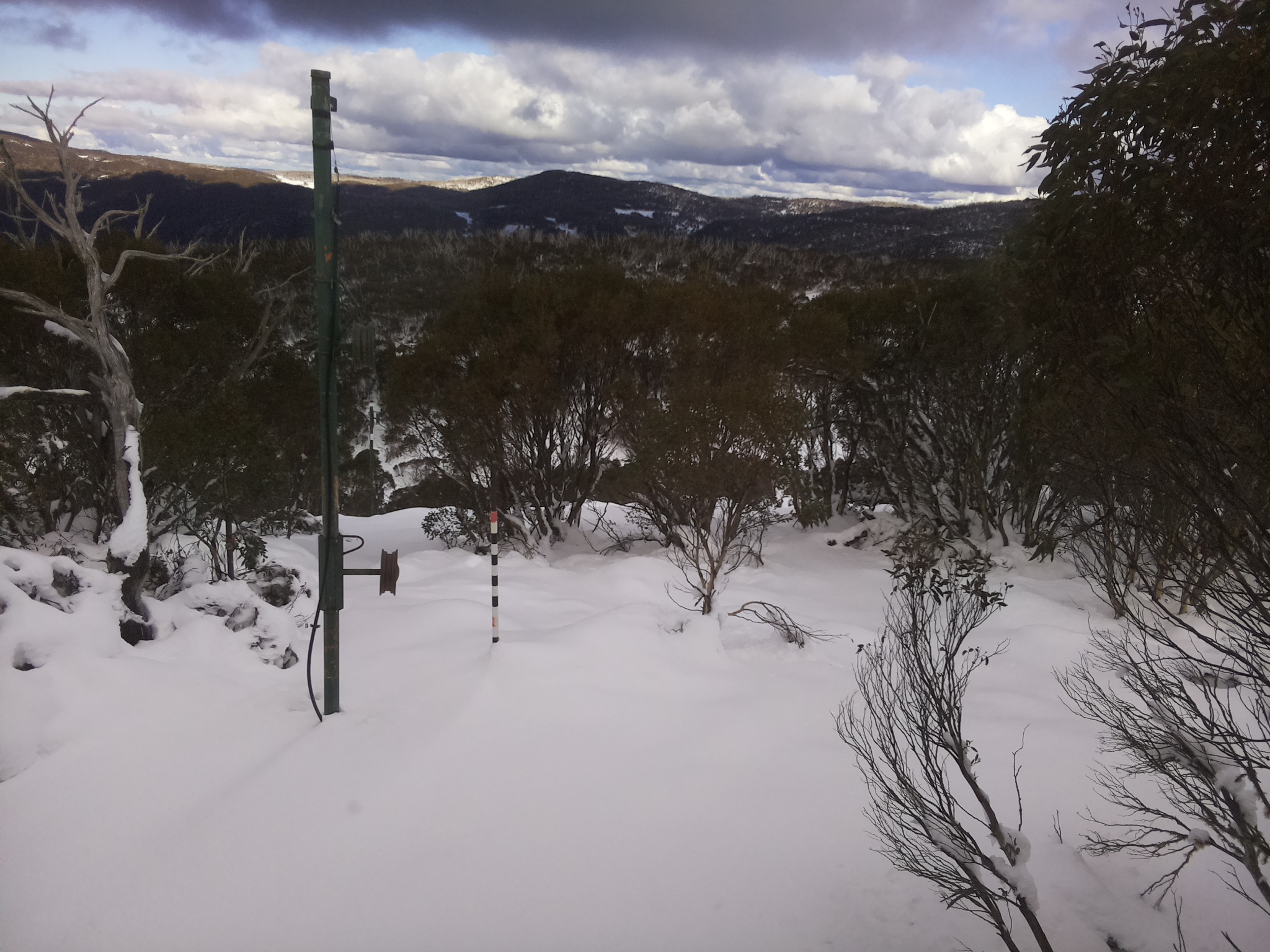 Bogong Web Cam 2:20pm Thursday 12th of June 2025