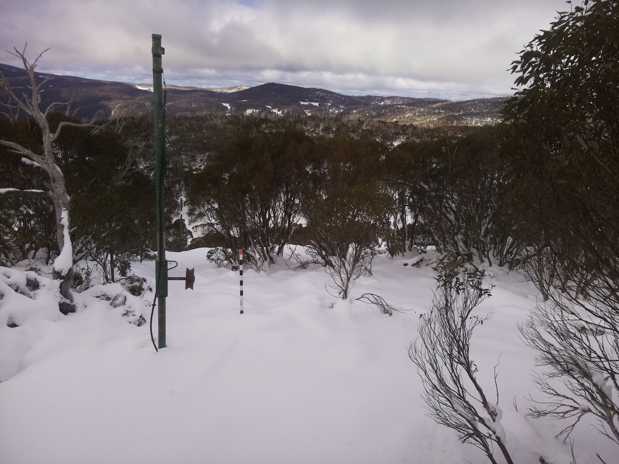 Bogong Web Cam 10:50am Friday 13th of June 2025