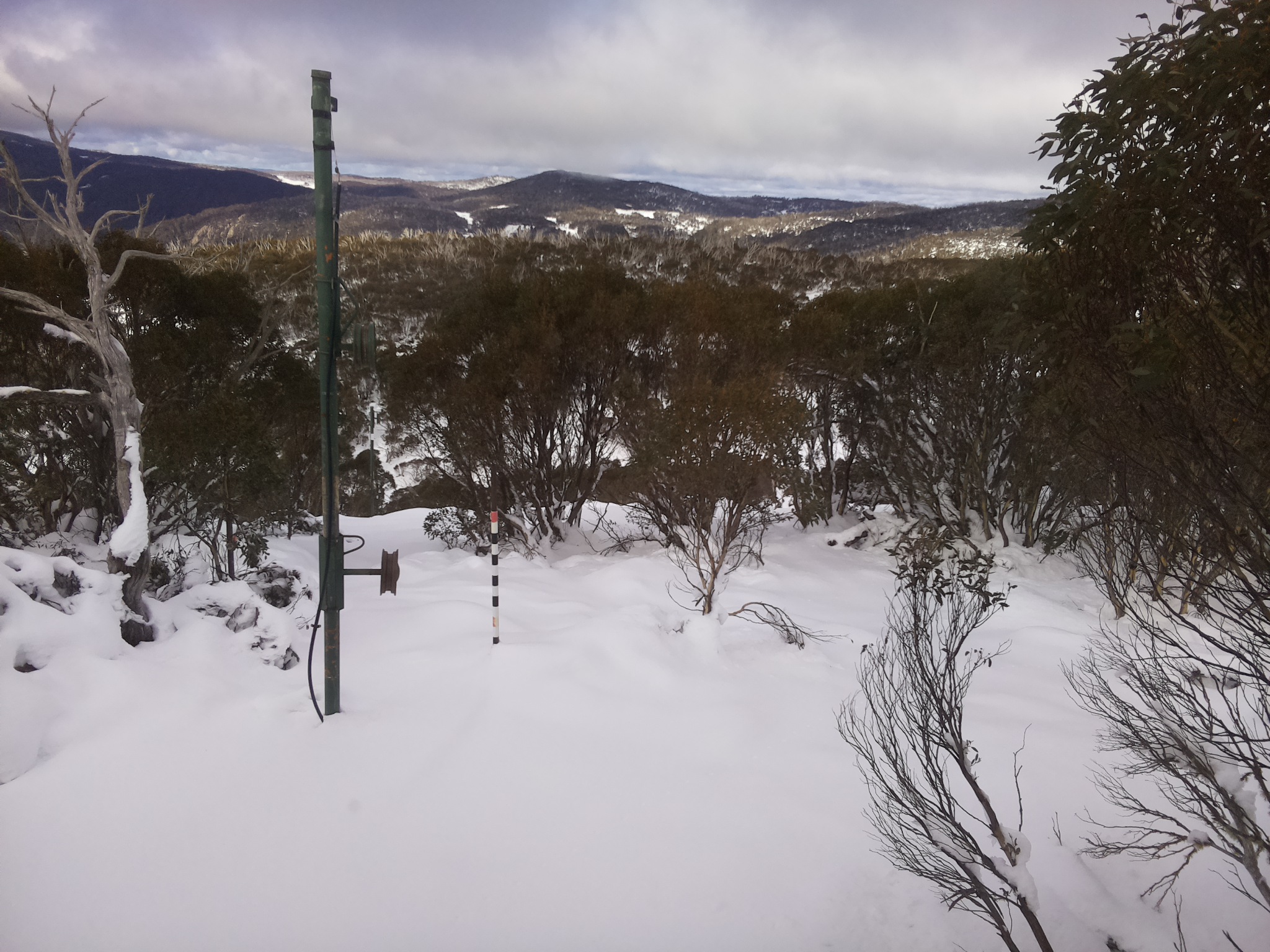 Bogong Web Cam 11:00am Friday 13th of June 2025