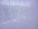 Thumbnail 9:20am Saturday 14th of June 2025