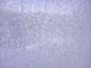 Thumbnail 9:40am Saturday 14th of June 2025