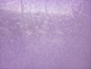 Thumbnail 10:00am Saturday 14th of June 2025