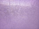 Thumbnail 10:10am Saturday 14th of June 2025